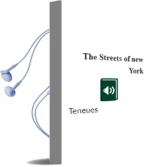 The Streets of new York Audiobook download free by Teneues