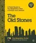 Audiobook The old Stones: A Field Guide to the Megalithic Sites of Britain and Ireland author Andy Burnham