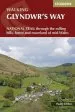 Audiobook Glyndwr'S way: A National Trail Through Mid-Wales author Paddy Dillon